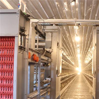Modern 128 Birds Battery Layer Chicken Cage For Pakistan Farm