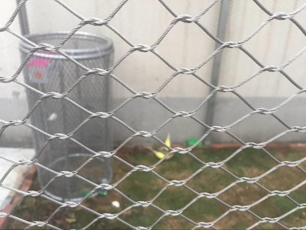 Knotted Aviary Wire Fencing , Bird Cage Wire Mesh With Stainless Steel 316 304