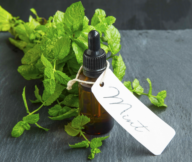 Food Grade High Concentration Mint Flavor For Chewing gum  Of Long-lasting Freshness