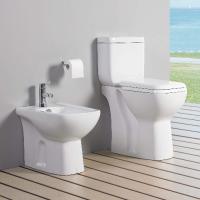 Ceramic Bathroom Sets Sanitary Ware Dual Flush Water Closet with Water Tank P Trap Two Piece Toilet Bowl