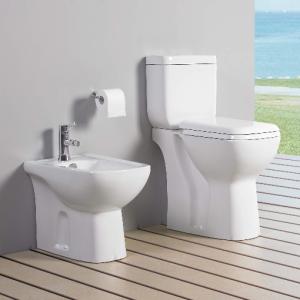 Ceramic Bathroom Sets Sanitary Ware Dual Flush Water Closet with Water Tank P
