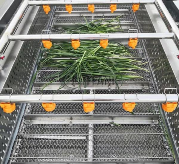 Máquina de limpeza automática industrial da lavagem do vegetal e do fruto para a salada do tomate