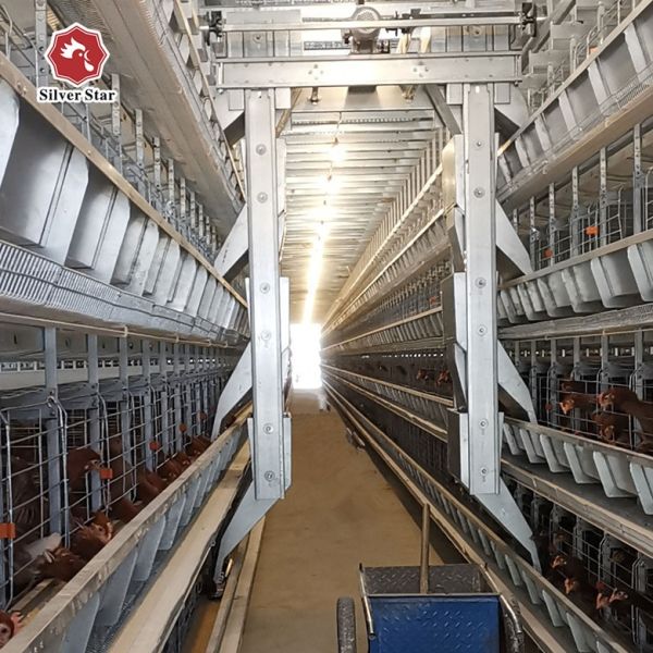 Poultry Cage/cages for Laying Hens Used/chicken Breeding Equipment