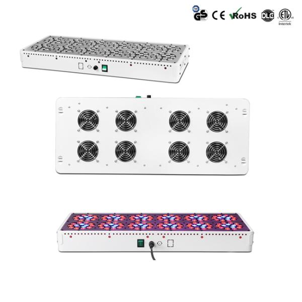 ИП44 100В - верхнее СИД 700В растет света на крытый парник 3 лет гарантии