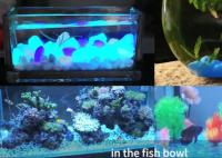 Guijarros fluorescentes verdes azules no radiactivos de la resina para la decoración casera