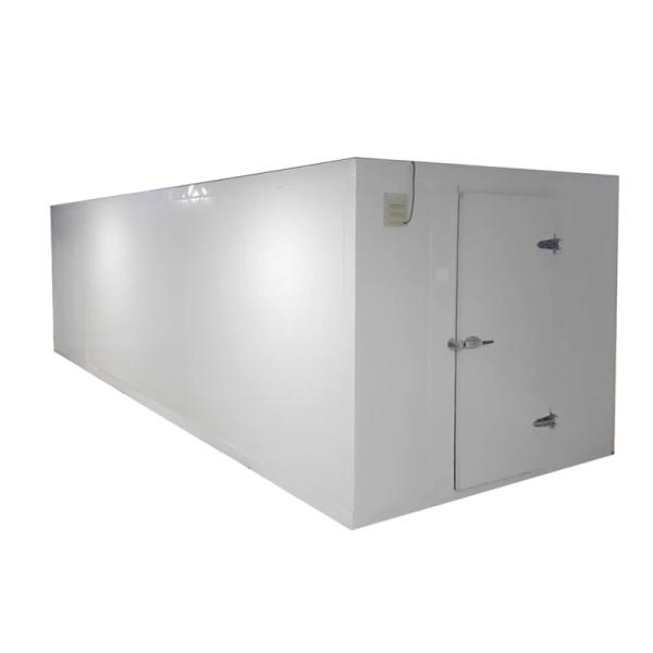 Grande sala fria industrial para tipo fresco da temperatura da carne o único