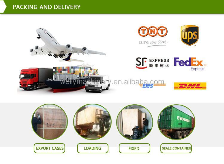 Vertical Aquaculture Fish Conveyor Belt Check Weigher Sorting Fruit &Vegetable Olive Grading for Sale Tilapia Grading Machine