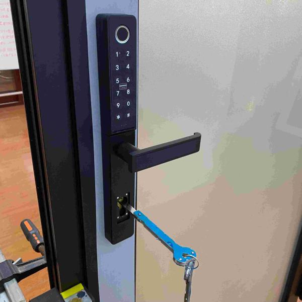 Weather Frosted Aluminium Hinged Doors Smart Electronic Lock Aluminium Pivot Door