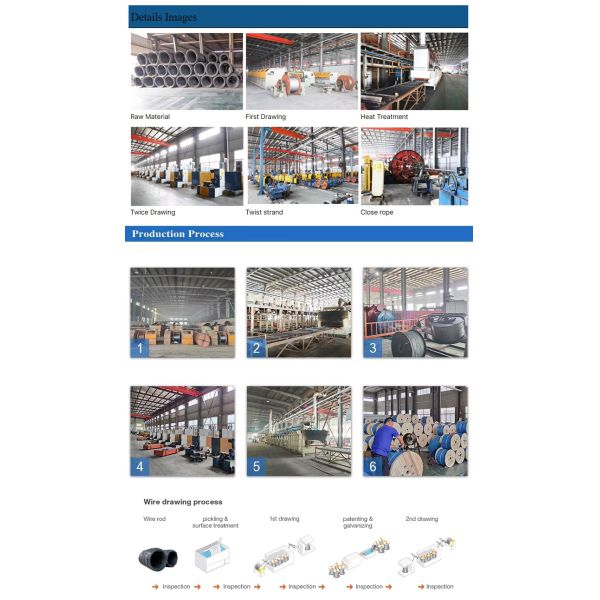 6x25 1/2'' Hot Dipped Galvanized Cable Steel Wire Rope