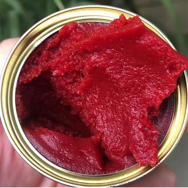 400g Tomato Paste Export Home Restaurant Special Tomato Paste Fried Chicken and Barbecue Tomato Paste