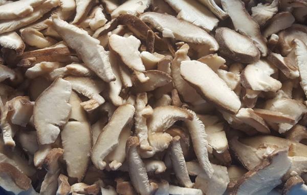 Bulk IQF Frozen Shiitake Mushroom Hot-selling