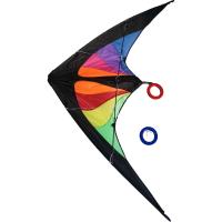 cerf-volant de sport de delta d'ODM d'OEM de 160*80cm avec le matériel de polyester
