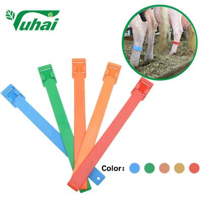 EVA Livestock Bands Colorful Legband Poly Urethane For Cow Horse Cattle Sheep