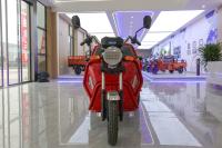 1.6m Large Capacity Open Body 3 Wheel Cargo 30km/H 48-60V Red