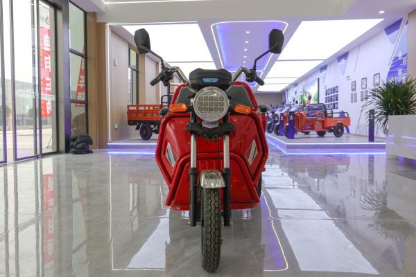 800w Passenger Electric Tricycle With Back Seat Foldable Safety Guardrail
