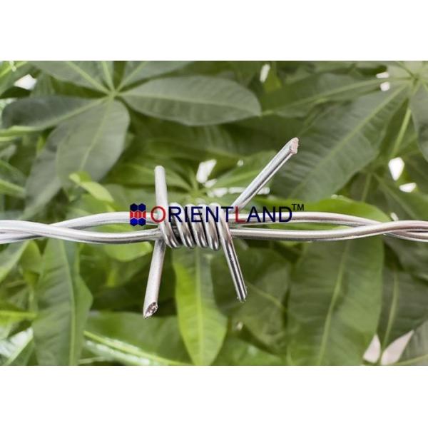 2.2 мм горячеполошенная оцинкованная колючая проволока 250 м / оцинкованная бритва