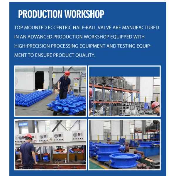 China 4 Inch Top Mounted Flange Eccentric High Pressure Half Ball Check Valve