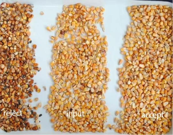 2 Channels High Accuracy Peach Gum Grain Color Separator Arabic Olibanum Gum Color Sorting Machine