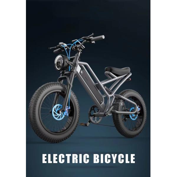 2024 Electric Bicycle with Aluminum Alloy Frame and Long-Lasting Lithium Battery