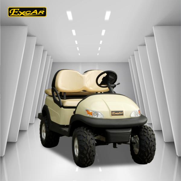 Environmental Electric Utility Golf Carts with 48V Trojan battery 6*8V