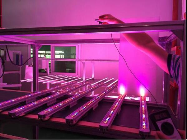 IP65 AC100-277 5 years warrenty 50000 Hours ra>90 2400-12000lm CCT6500k  Indoor LED Grow Light