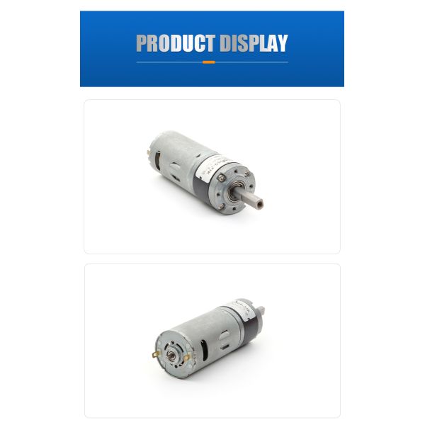 Customized DC Spur Gear Motor 7RGM520 3V- 24V High Torque Spur Gear Motor