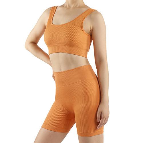 As mulheres do OEM equipamentos de 2 partes malham o short alto do motociclista da cintura do sutiã dos esportes do Gym da ioga