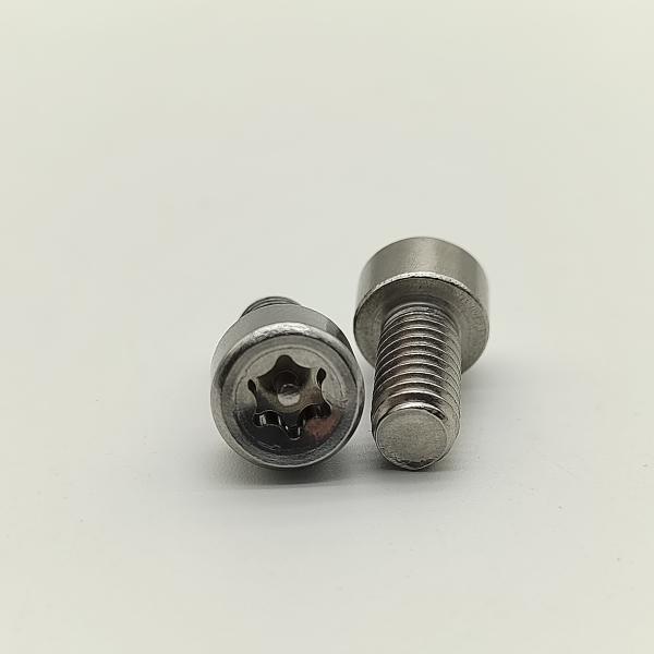 トルクス T ドライブスタイル改ざん防止 A4-80 TR キャップスクリュー 耐薬品性