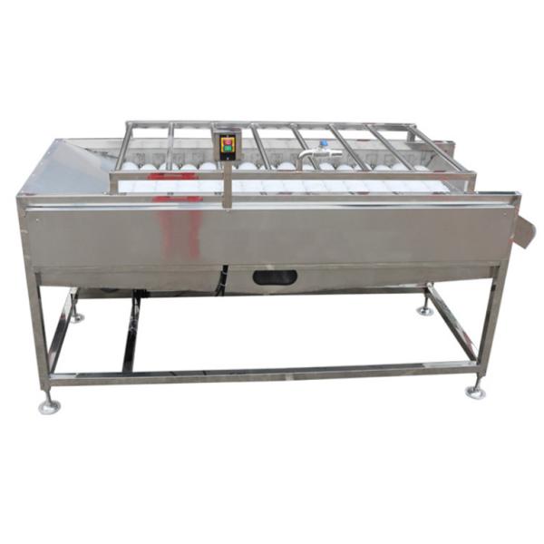500kg/h Food Processing Plant Equipment , Vegetable Fruit Brush Washer