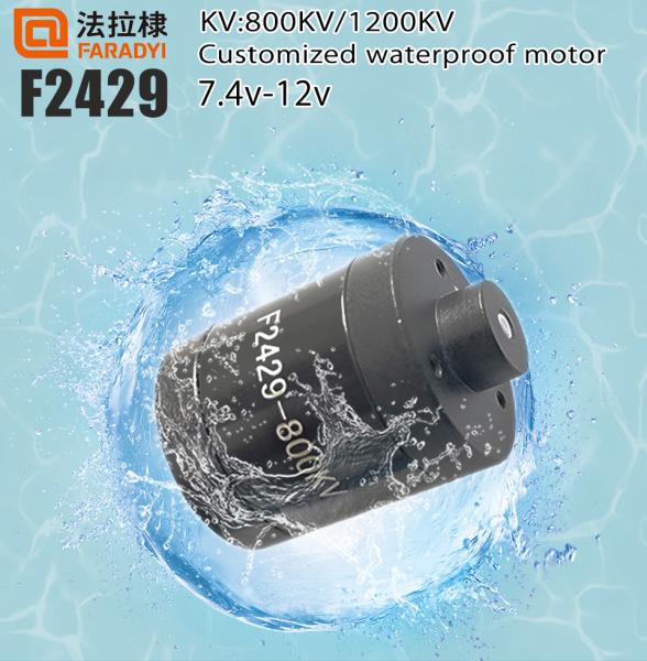 Faradyi 2023 New Product Customized  12V 1200KV Waterproof Electric Motor Permanent Magnet Waterproof BLDC Motor For Jet Ski