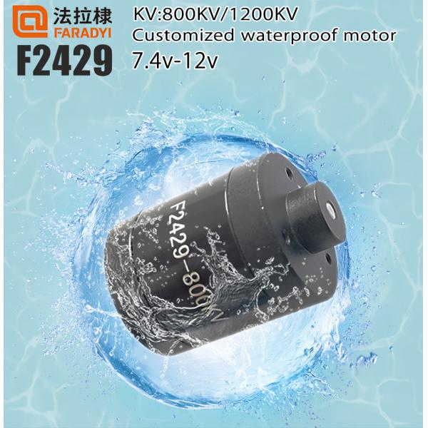 Faradyi High Quality 12V 24V 800W Water-resistant BLDC Motor With Propeller For Jet Board