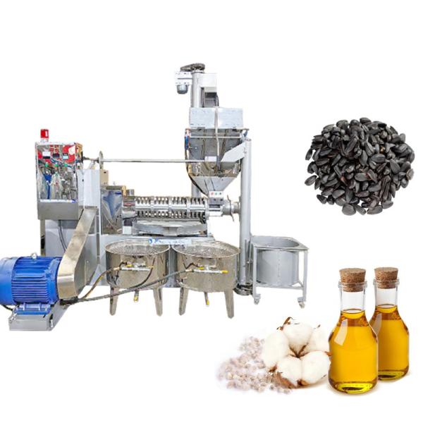 Compact And Portable Cotton Seed Oil Press Machine Easy Transportation