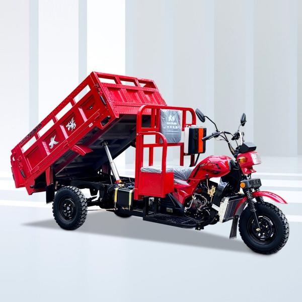 Maximum Speed 50-70Km/h High Cargo Side Adult Recumbent Tricycle 200cc Tipper Motorized