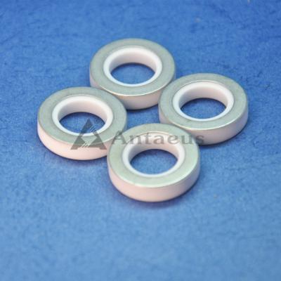 Alumina Ceramic Gasket Mechanical Strength Alumina Ceramic O Ring for BYD