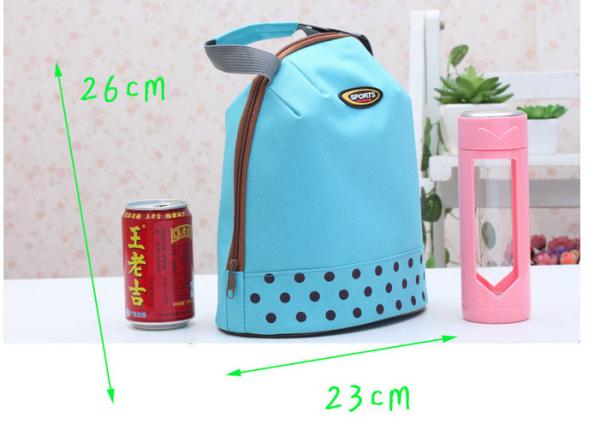 Insulated Soft Cooler Picnic Lunch Box Tote Bottle Bag Freezer Tote Handbag