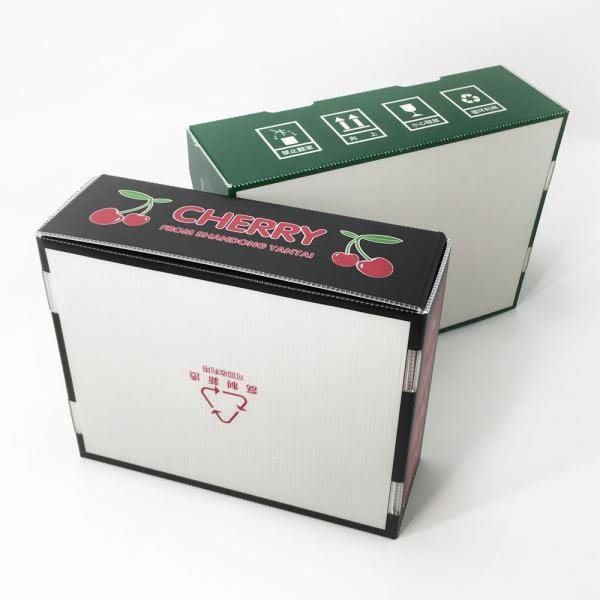 3.5mm Apple Cherry Plastic Corrugated Foldable Boxes Anti - Mold CMYK