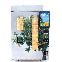Distributeur automatique fraîchement serré à jetons de jus d'orange garantie de 1 an