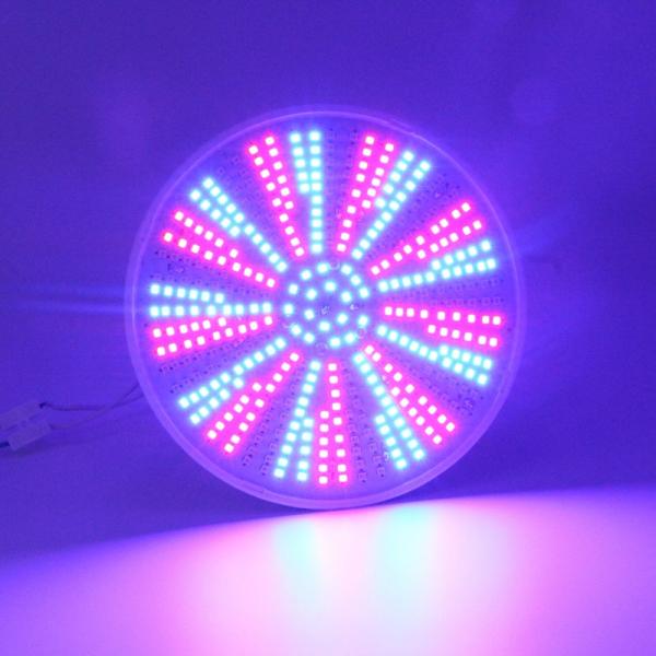 RGB Multicolor AC230V 35W Pentair Hayward Light Fixture