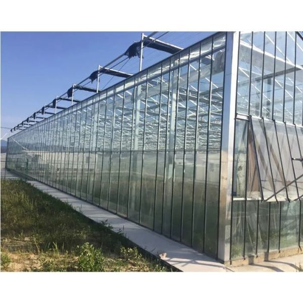 Hot-dip Galvanized Steel Frame Multi-span Hydroponic Greenhouse with Smart Irrigation System