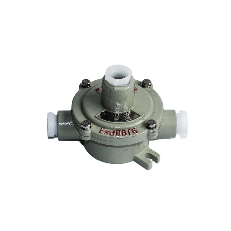 Exd II CT6 Aluminum Stainless Steel Enclosure Explosion Proof Junction Box Wall Mounted