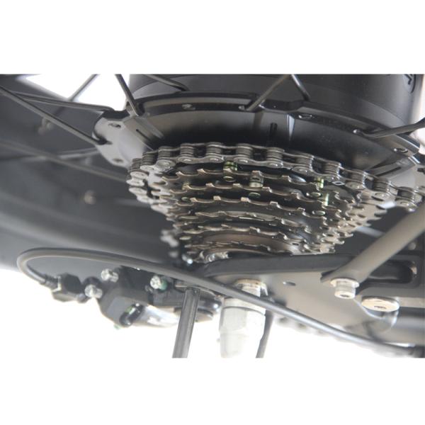 48V 13Ah Electric Dirt Bike Adult 750W 1000W High Speed Bicycle with 20inch Fat Tire