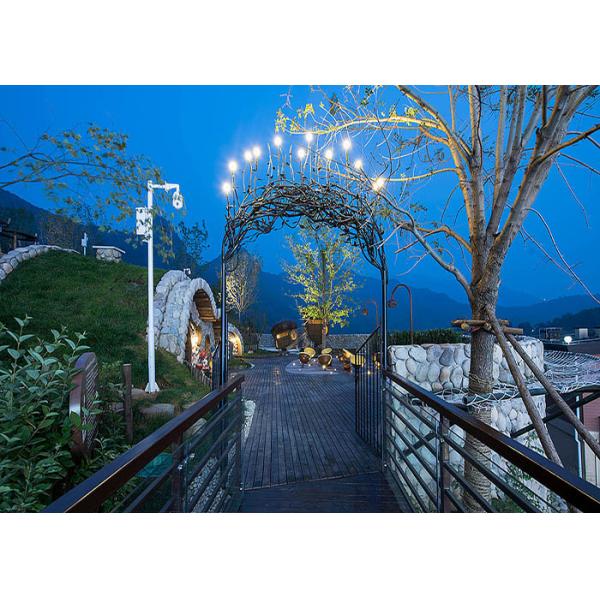 Wood Outdoor Playground Equipment Forest Adult Playground