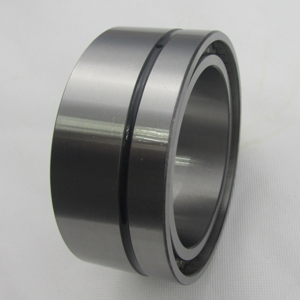 Germany Cylindrical Roller INA Bearing SL14918 For Ceramic Industry