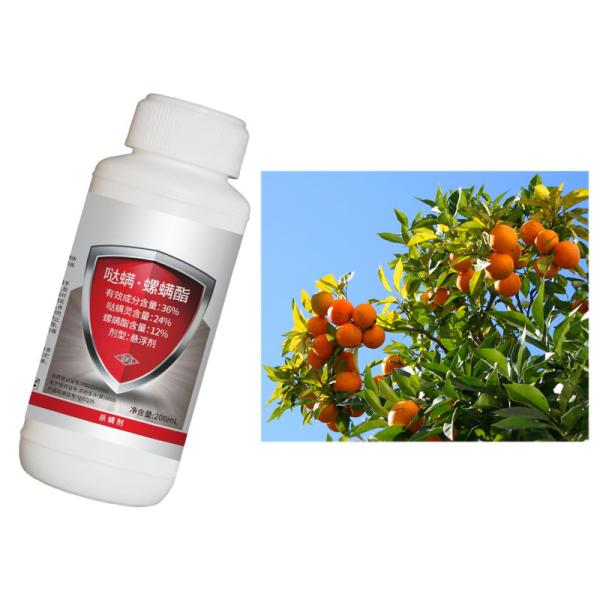 Spirodiclofen Pyridaben Pesticida de árvores de frutos cítricos Insecticida para pulgões e ácaros-aranha