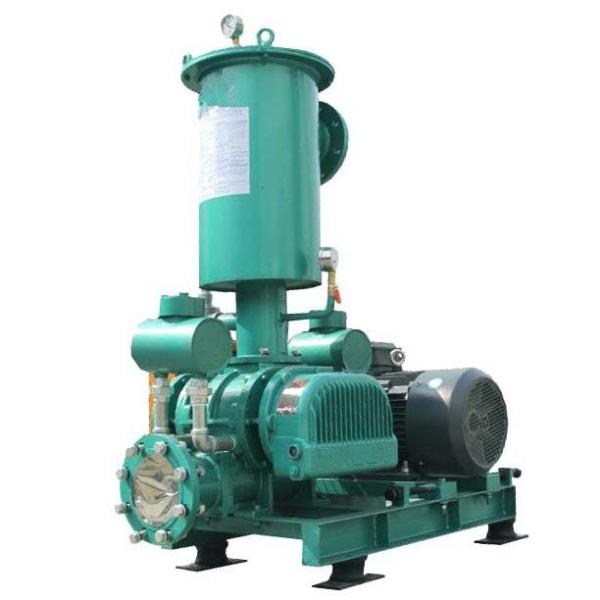 Belt Transmission EAC Root Blower For Aquaculture Fish Farming