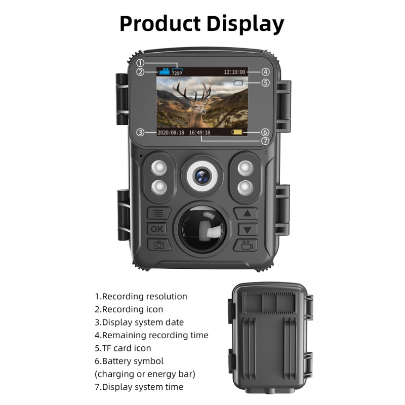 Factory Direct 720P HD Trail Hunting Camera Outdoor Wildlife Waterproof IR Night Vision Trail Camera Animal Trap Mini Camera