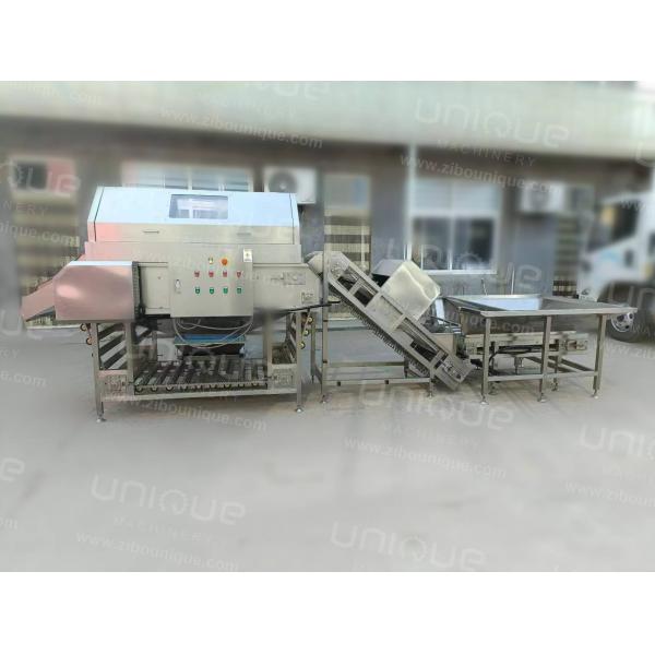 Машины для очистки лука Маленькие и большие Машины для очистки лука 4970*1510*1813 мм 3 кВт