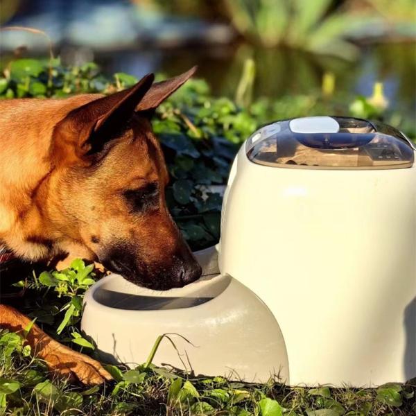 Formation au travail avec les parfums Aliments automatiques pour animaux de compagnie intelligents Fermeture de sécurité pour enfants Application de contrôle de la lumière UV