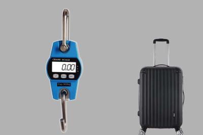 LCD Display Electronic Crane Scale SF916 Capacity up to 300kg