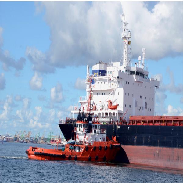 Logistics International Sea Freight Services From China To Singapore
